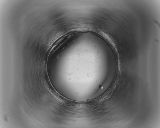 X0000099970105200806131541