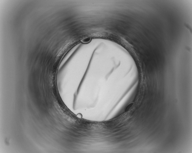 X0000099970106200806131541