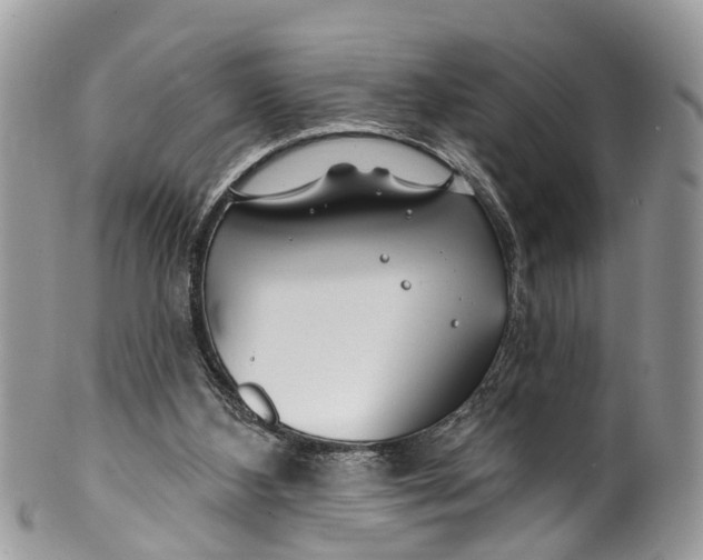 X0000099970108200806131541