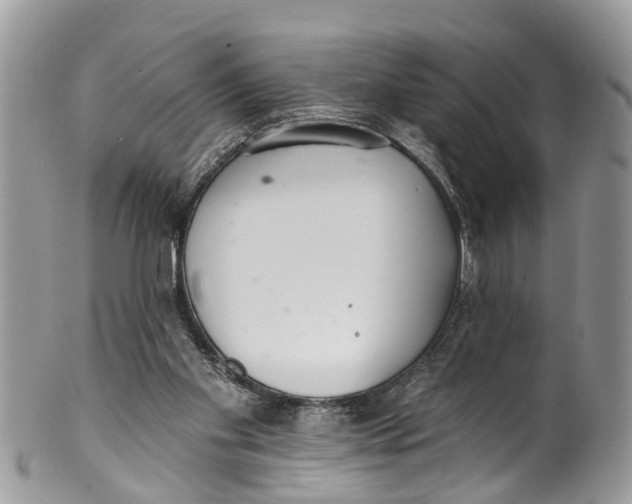 X0000099970109200806131541