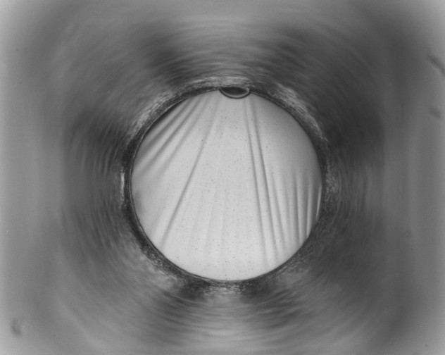 X0000099970110200806131541