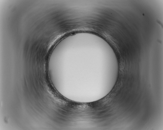 X0000099970112200806131541