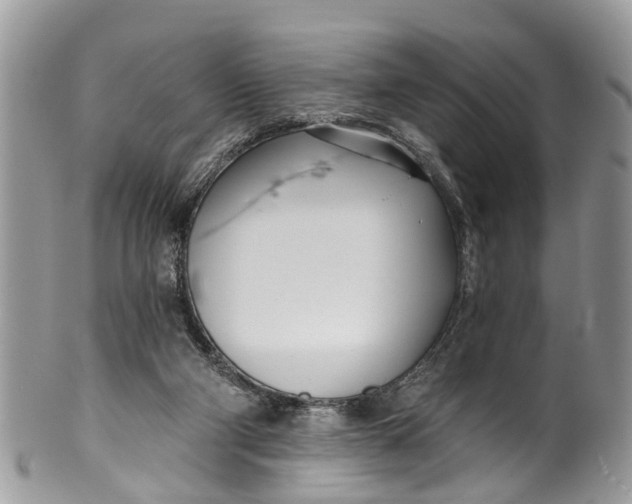 X0000099970114200806131541