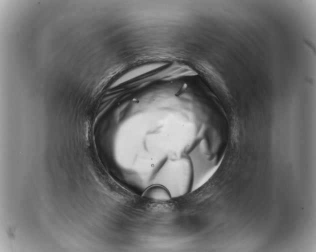 X0000099970115200806131541