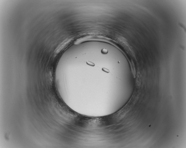 X0000099970116200806131541