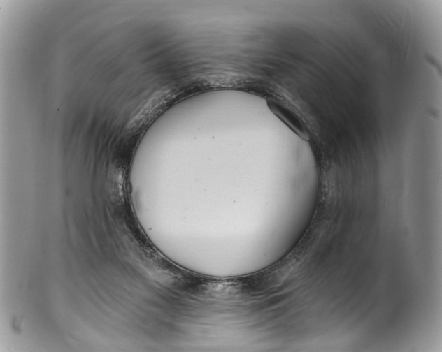 X0000099970117200806131541