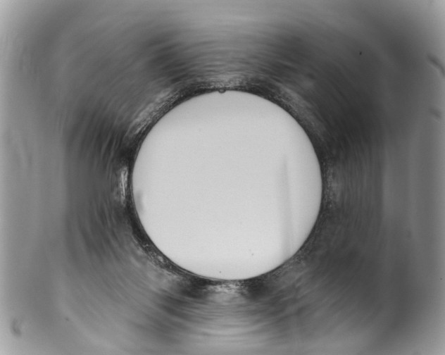 X0000099970118200806131541