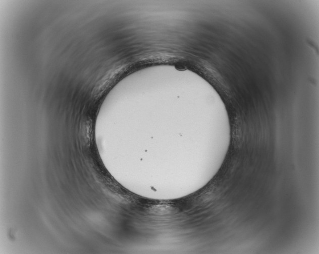 X0000099970119200806131541