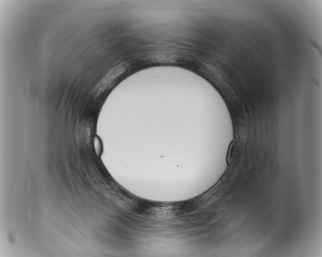 X0000099970120200806131541