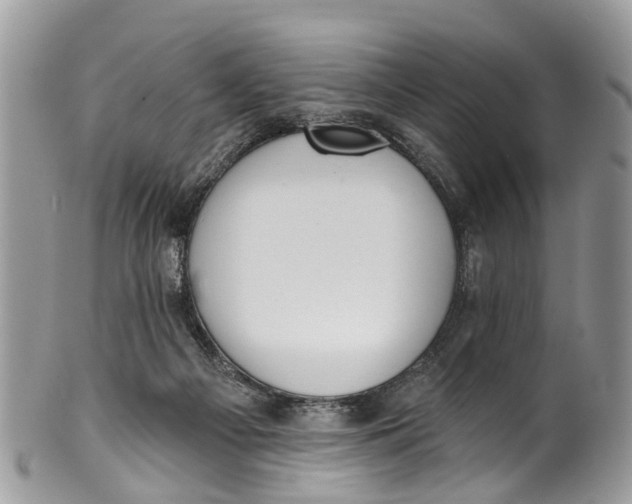 X0000099970121200806131541