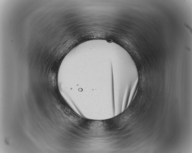 X0000099970123200806131541