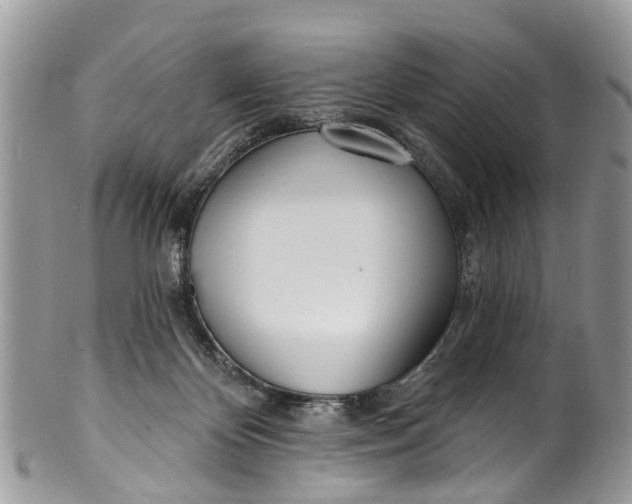 X0000099970124200806131541