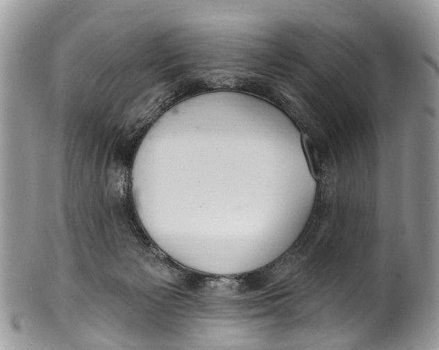 X0000099970125200806131541