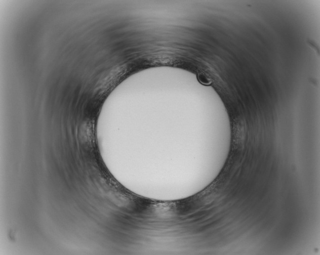 X0000099970126200806131541