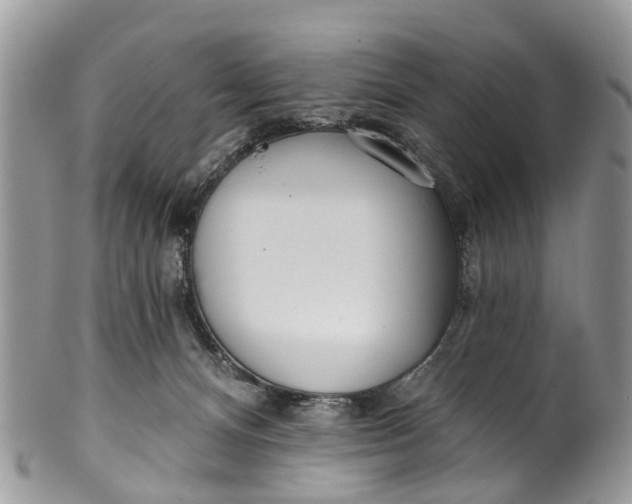 X0000099970128200806131540