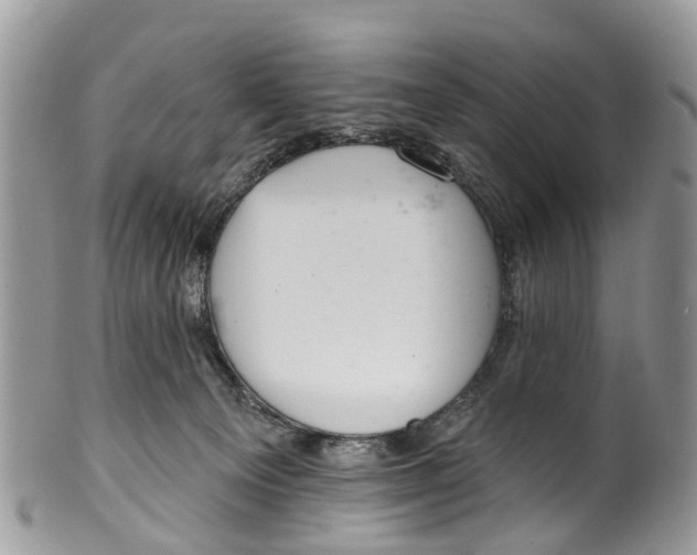 X0000099970129200806131540