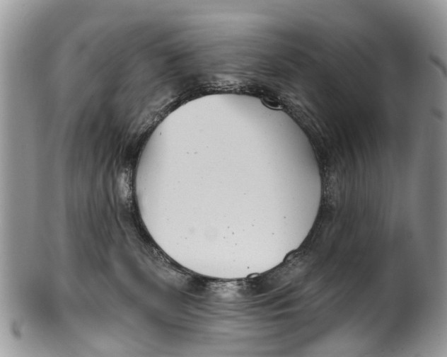 X0000099970131200806131540