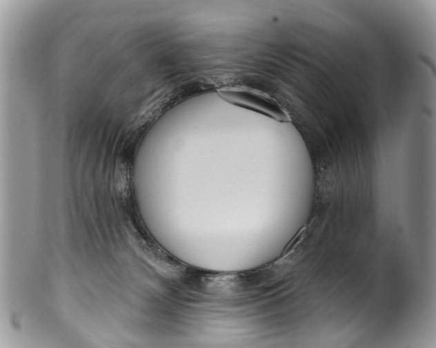 X0000099970132200806131540