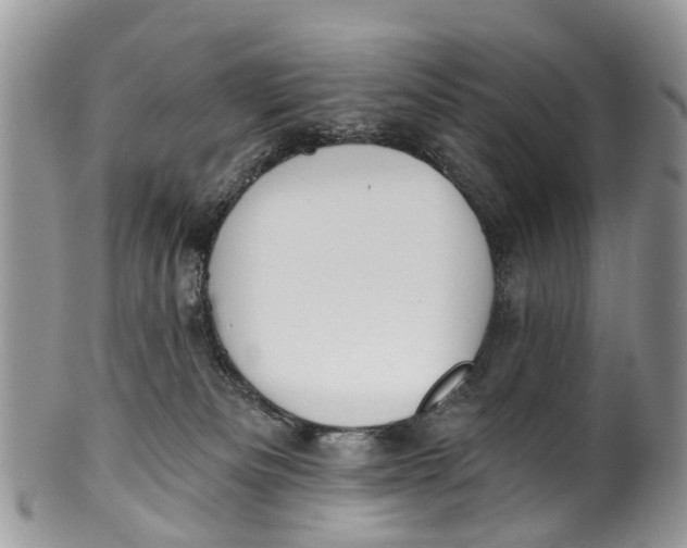 X0000099970133200806131540