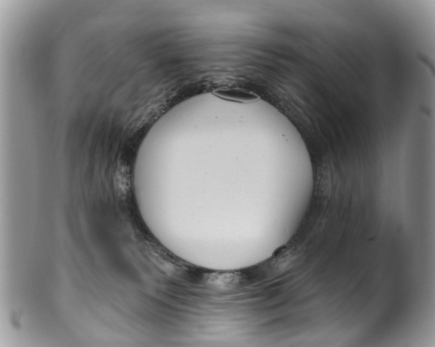 X0000099970135200806131540