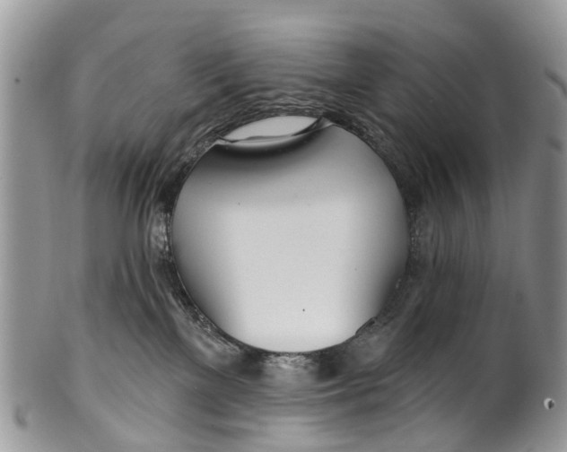 X0000099970137200806131540