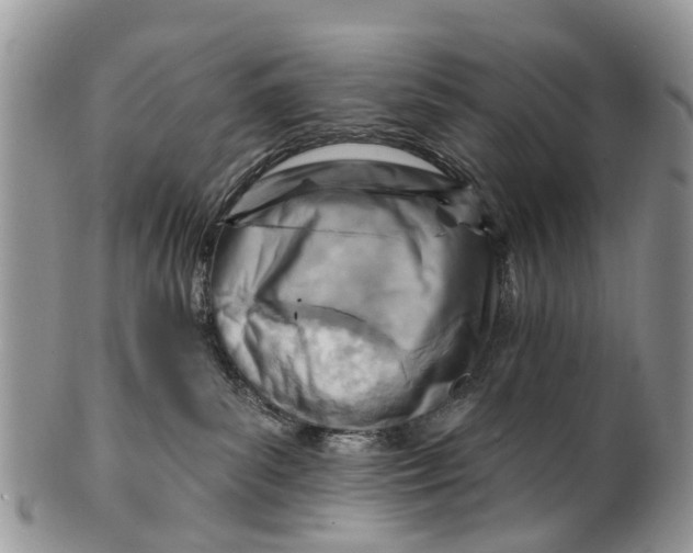 X0000099970139200806131540