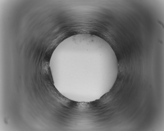 X0000099970141200806131540