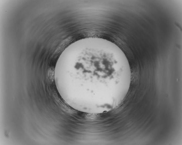 X0000099970142200806131540