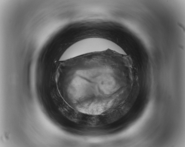 X0000099970143200806131540