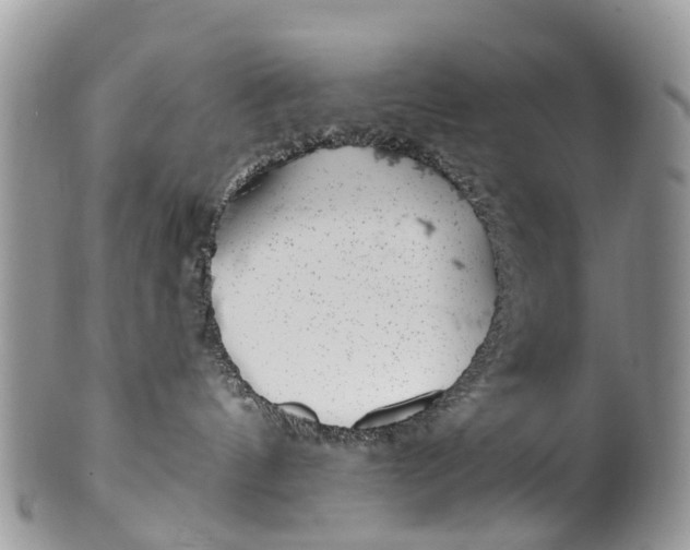 X0000099970144200806131540