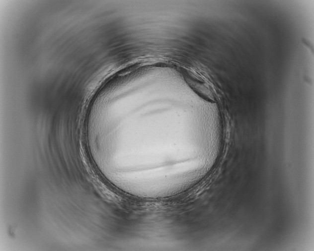 X0000099970145200806131539