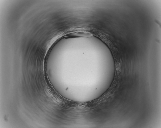 X0000099970148200806131539