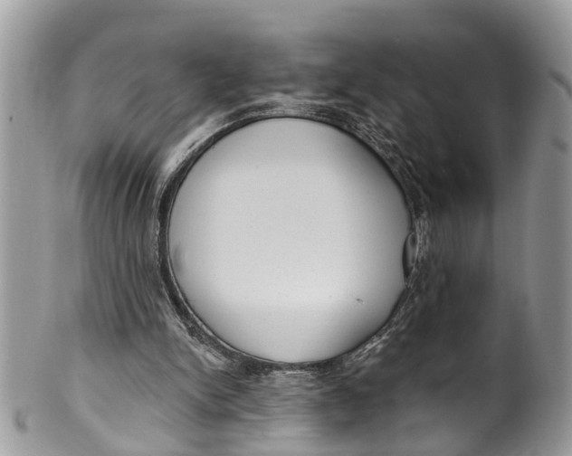 X0000099970150200806131540