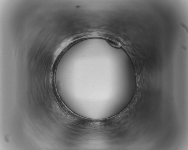 X0000099970152200806131540