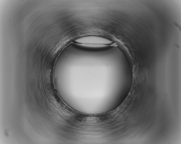 X0000099970154200806131540