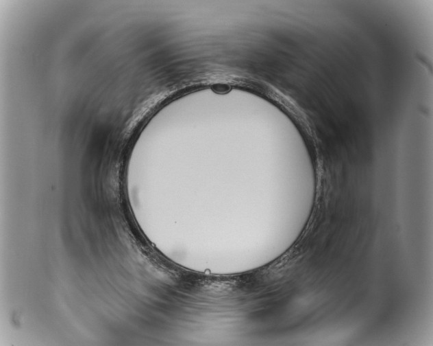 X0000099970155200806131540