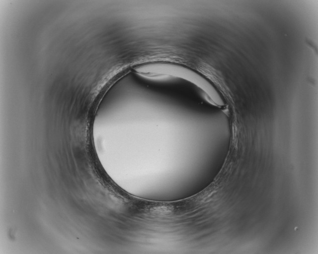 X0000099970156200806131540