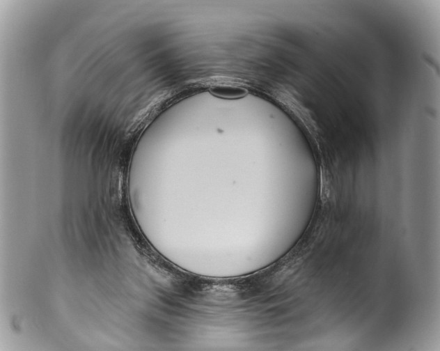 X0000099970157200806131540