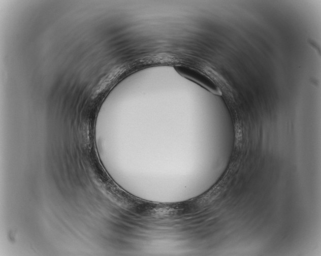 X0000099970158200806131540