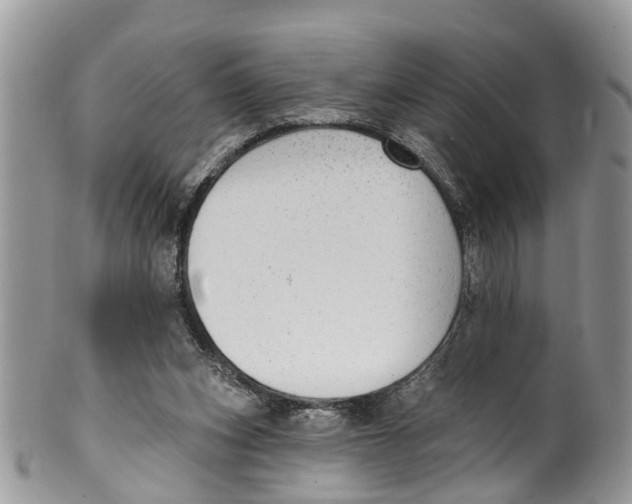 X0000099970159200806131540