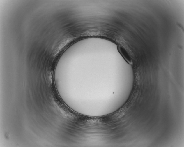 X0000099970160200806131540