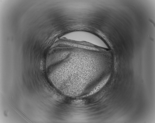 X0000099970161200806131540