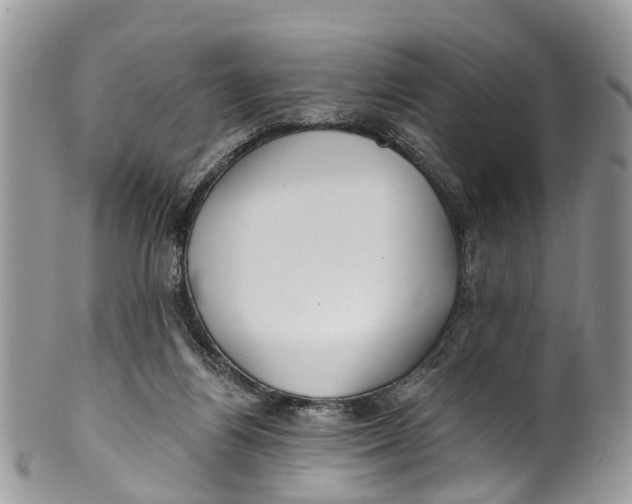 X0000099970164200806131540