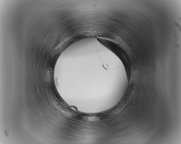 X0000099970165200806131540