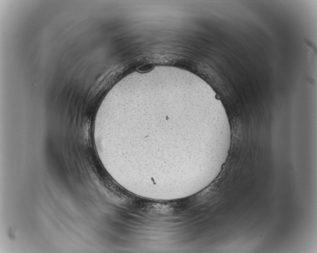 X0000099970166200806131540