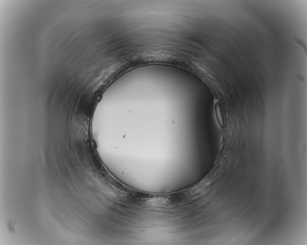 X0000099970168200806131540