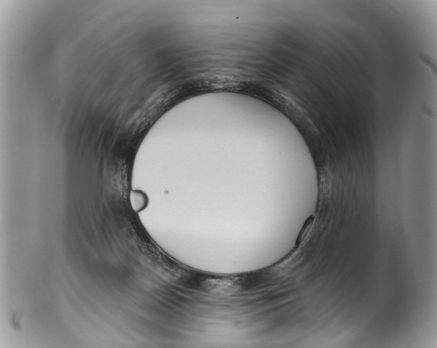 X0000099970170200806131540