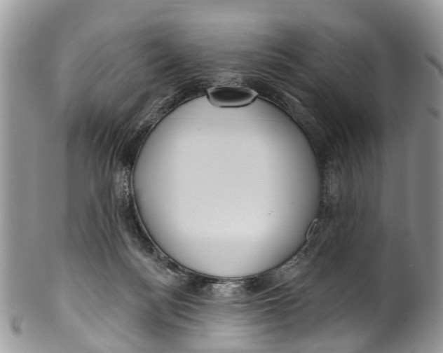 X0000099970172200806131540