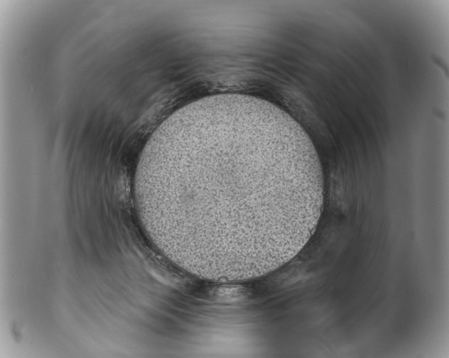 X0000099970173200806131540