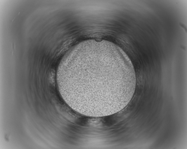 X0000099970175200806131540